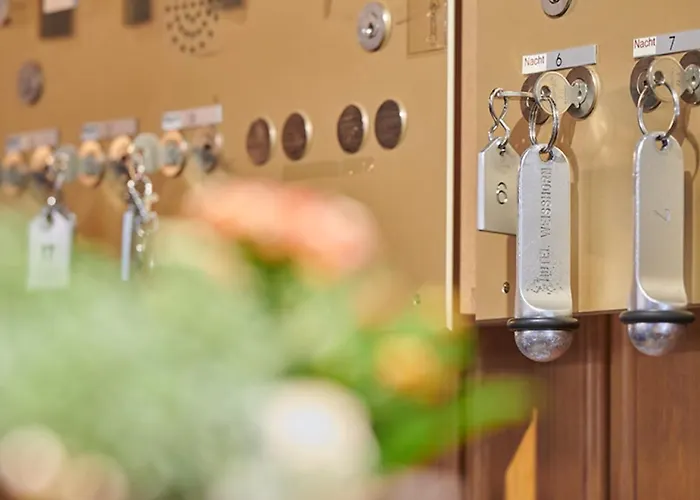 롯지 바이스호른 체르마트